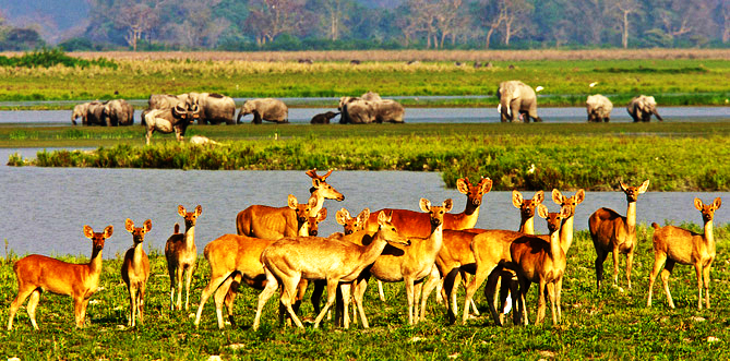 Arunachal at a Glance (DG-2215)