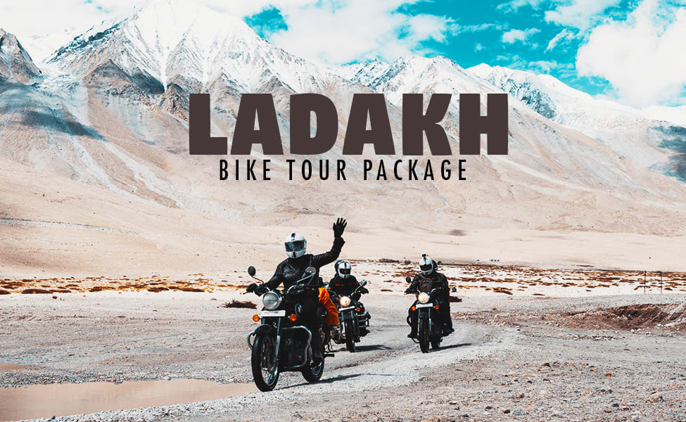 Leh Limelight (1285)