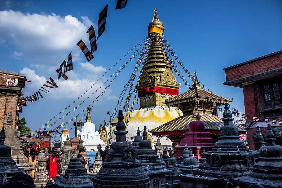 Nepal Short 4D (DGN-01)